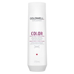Dažytų plaukų šampūnas Goldwell Dualsenses Brilliance Color Shampoo 250ml